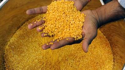 Import Duty on Pulses : होळीपूर्वीच मोठी खुशखबरी! या डाळी होतील स्वस्त, आयात शुल्क संपले