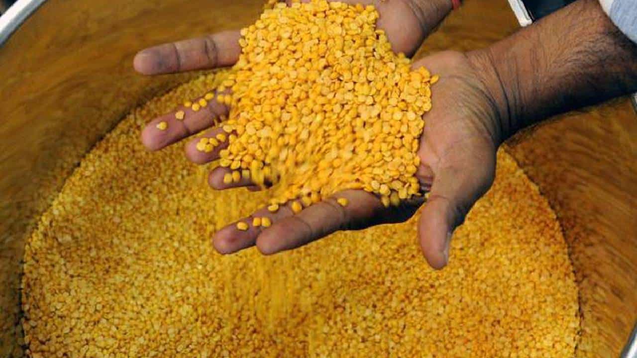 Import Duty on Pulses : होळीपूर्वीच मोठी खुशखबरी! या डाळी होतील स्वस्त, आयात शुल्क संपले