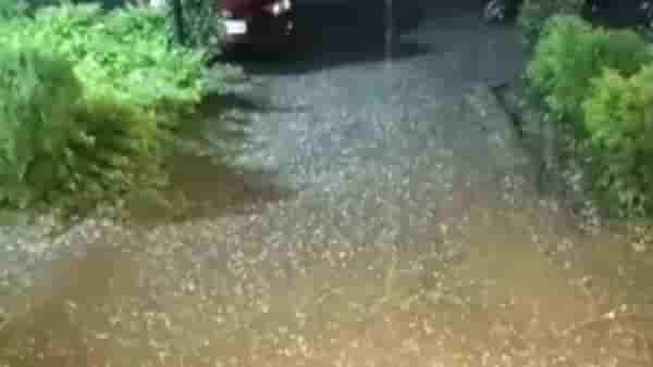 Unseasonal Rain : अवकाळी पावसाने नंदुरबार जिल्ह्याला झोडपले, महसूल विभागातील कर्मचारी संपावर, शेतकरी म्हणतात...