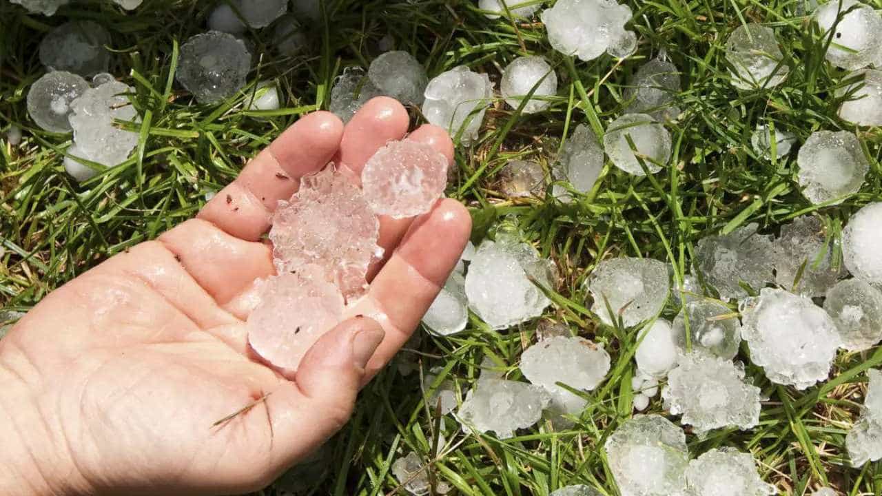 पुण्यात गारपीट, फळबागा-पिकांचं मोठं नुकसान; शेतकऱ्यांच्या खिशाला फटका पुण्यात गारपीट, फळबागा-पिकांचं मोठं नुकसान; शेतकऱ्यांच्या खिशाला फटका