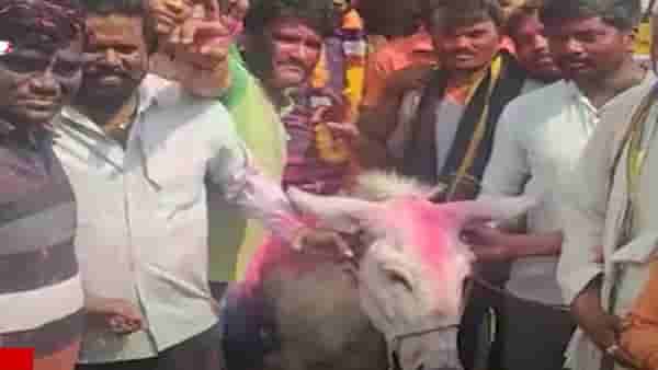 ‘या’ गावची अनोखी प्रथा, धुलिवंदनला जावयाची गाढवावरून जंगी मिरवणूक, बघा व्हिडीओ