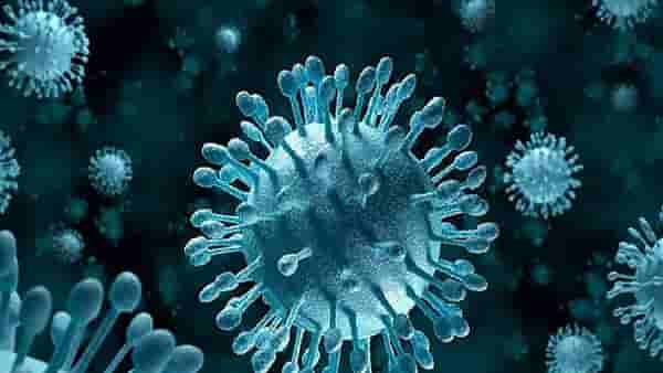 H3N2 बाबत शेजारील राज्याने दिला सतर्कतेचा इशारा; रुग्णांमध्ये होते झपाट्याने वाढ
