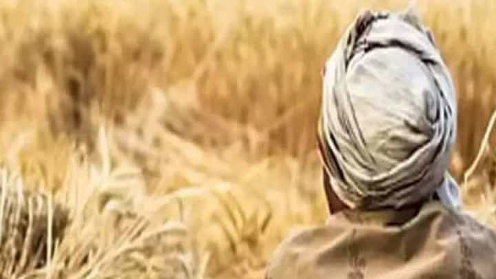 Marathwada : शेतमालाला योग्य हमीभाव नाही, दोन महिन्यात तब्बल 135 शेतकऱ्यांची आत्महत्या Marathwada : शेतमालाला योग्य हमीभाव नाही, दोन महिन्यात तब्बल 135 शेतकऱ्यांची आत्महत्या