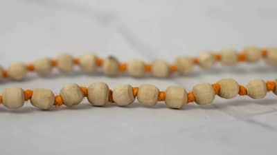 Tulsi Mala : तुळशीची माळ घालतल्यावर या नियमांकडे करू नका दुर्लक्ष, होतील नकारात्मक परिणाम