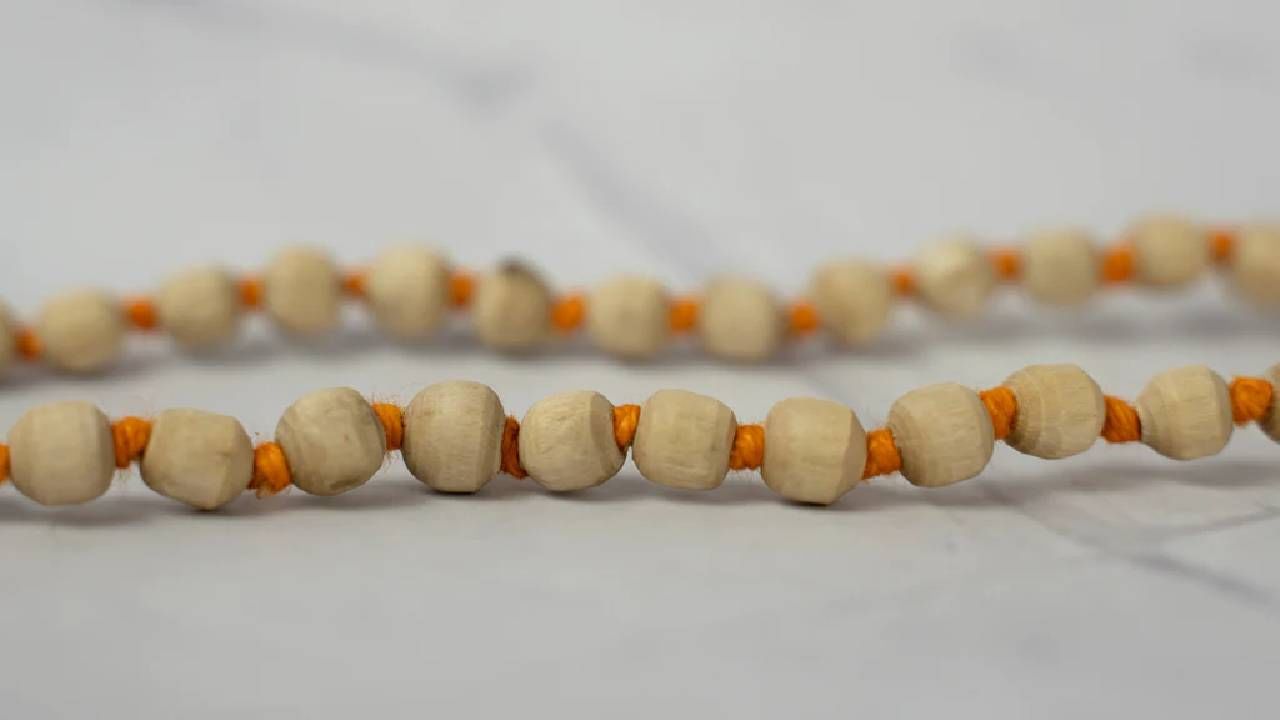 Tulsi Mala : तुळशीची माळ घालतल्यावर या नियमांकडे करू नका दुर्लक्ष, होतील नकारात्मक परिणाम Tulsi Mala : तुळशीची माळ घालतल्यावर या नियमांकडे करू नका दुर्लक्ष, होतील नकारात्मक परिणाम