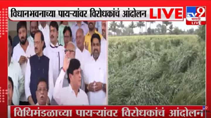 अवकाळी पावसाने शेतीचं मोठं नुकसान; महाविकास आघाडीचं विधिमंडळ पायऱ्यांवर आंदोलन अवकाळी पावसाने शेतीचं मोठं नुकसान; महाविकास आघाडीचं विधिमंडळ पायऱ्यांवर आंदोलन