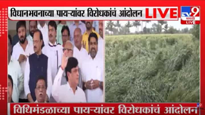 अवकाळी पावसाने शेतीचं मोठं नुकसान; महाविकास आघाडीचं विधिमंडळ पायऱ्यांवर आंदोलन अवकाळी पावसाने शेतीचं मोठं नुकसान; महाविकास आघाडीचं विधिमंडळ पायऱ्यांवर आंदोलन