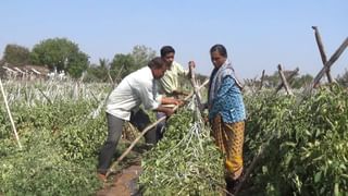 सलग तिसऱ्या दिवशीही बळीराजाला फटका, उत्तर महाराष्ट्रातील या ठिकाणी गारांचा पाऊस