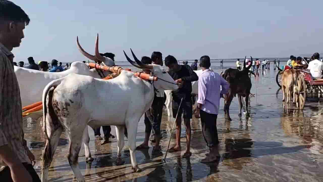 Super Fast News : राजधानितच परिक्षार्थी विद्यार्थ्यांकडे शासनाचे दुर्लक्ष; अलिबागच्या समुद्रकिनाऱ्यावर बैलगाडा शर्यतीचा थरार