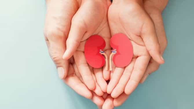 World Kidney Day 2023 : किडनी ट्रान्सप्लांट करताय ? डोनरच्या आरोग्यावर काय होतो परिणाम ते तर आधी जाणून तर घ्या
