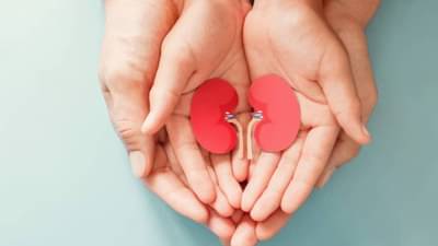 World Kidney Day 2023 : किडनी ट्रान्सप्लांट करताय ? डोनरच्या आरोग्यावर काय होतो परिणाम ते तर आधी जाणून तर घ्या