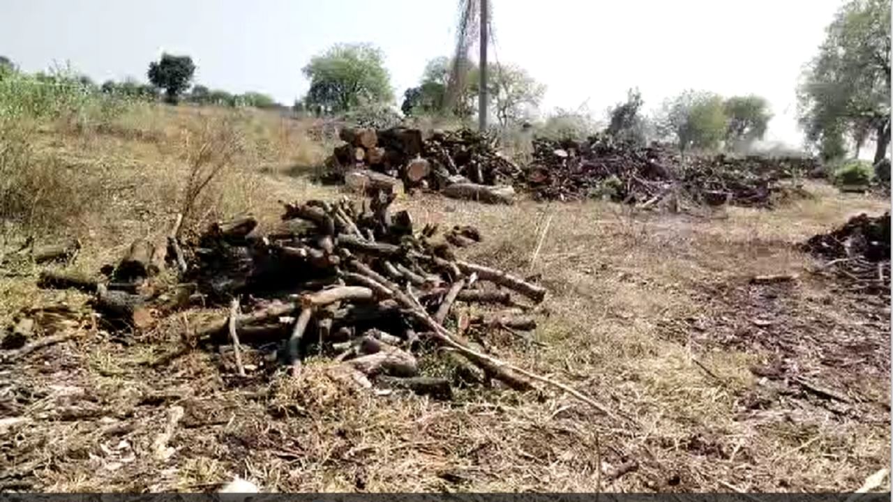 एकीकडे तापमानाचा पारा दिवसागणिक वाढत असून दुसरीकडे विभागाच्या वतीने झाडे लावा झाडे जगवाचा संदेश देत दिल्या जातोय, तर शासन एकीकडे वृक्षारोपणासाठी मोहीम राबवत असून  त्यासाठी शासनाच्या तिजोरीतील कोट्यावधी रुपये यावर खर्च केले जातात 