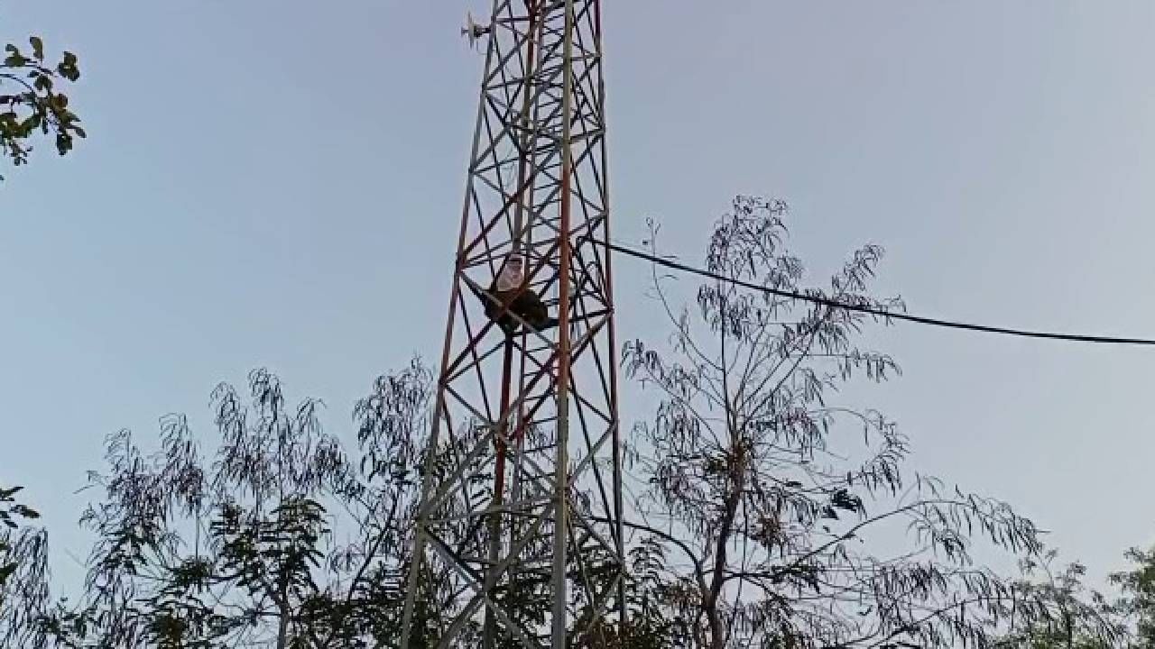 पतीच्या समर्थनार्थ पत्नी उतरली मैदानात, पोलिसांना आव्हान देत चढली टॉवरवर, शोले स्टाईल आंदोलन कशासाठी? पतीच्या समर्थनार्थ पत्नी उतरली मैदानात, पोलिसांना आव्हान देत चढली टॉवरवर, शोले स्टाईल आंदोलन कशासाठी?