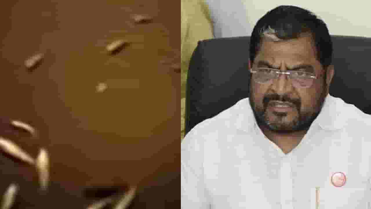 महापालिका आयुक्तांच्या घरावर मासे फेकत आंदोलन; स्वाभिमानी शेतकरी संघटना आक्रमक महापालिका आयुक्तांच्या घरावर मासे फेकत आंदोलन; स्वाभिमानी शेतकरी संघटना आक्रमक