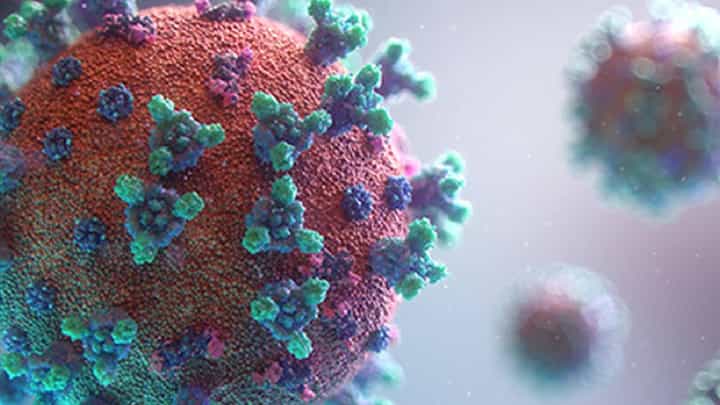 H3N2 व्हायरसनं चिंता वाढवली; दोन रुग्णांचा मृत्यू H3N2 व्हायरसनं चिंता वाढवली; दोन रुग्णांचा मृत्यू