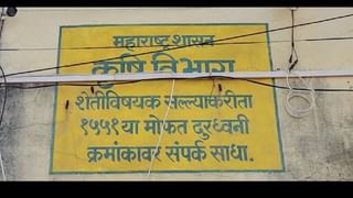 Agriculture News : हातातोंडाशी आलेला घास निसर्गाने हिसकावून नेल्याने शेतकरी हवालदिल, शेतकऱ्यांनी मांडली व्यथा