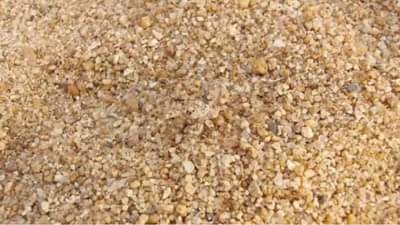 निरीक्षण चांगलं असेल तर खालील चित्रात कोळी शोधून दाखवा