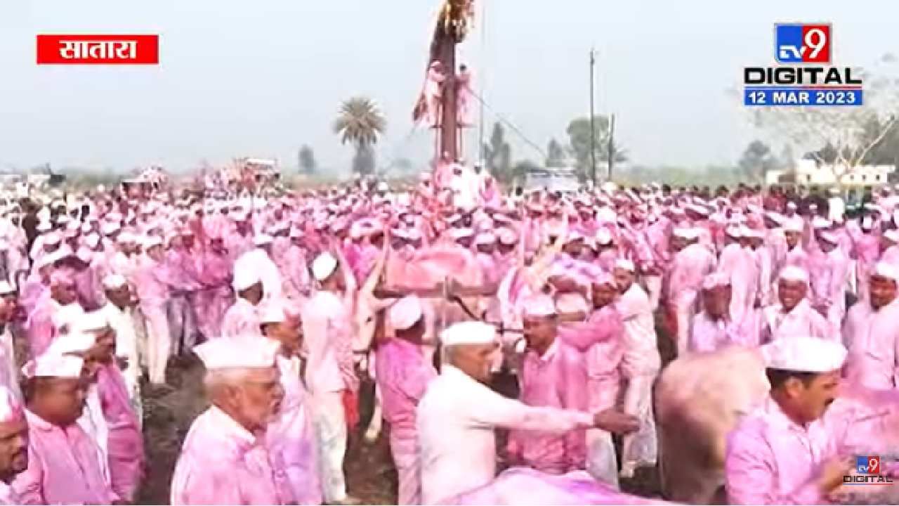 Video : साताऱ्यातील प्रसिद्ध बगाड यात्रेला सुरुवात; लाखो भाविक दाखल