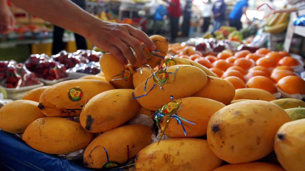 Mango : बदलत्या वातावरणाचा हापूस आंब्याला फटका, बागायतदारांचे आर्थिक गणित विस्कटले