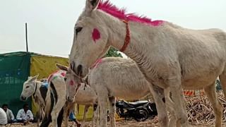 मोठी बातमी ! येत्या दोन महिन्यात नारायण राणे यांचं मंत्रिपद जाणार, कोकणातल्या नेत्याचा गौप्यस्फोट; लॉजिकही सांगितलं