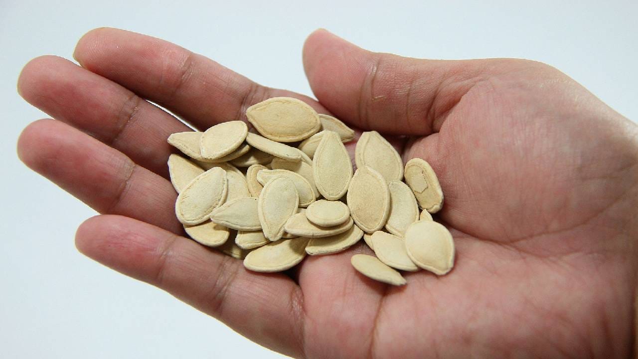 एकदा वाचाच! भोपळ्याच्या बिया खाण्याचे फायदे Marathi News Advantages