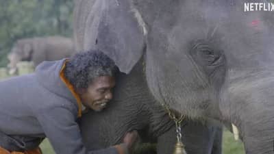 Oscars 2023 | ऑस्कर पुरस्कार सोहळ्यात भारताने रचला इतिहास; पटकावला बेस्ट डॉक्युमेंट्री शॉर्ट फिल्मचा पुरस्कार