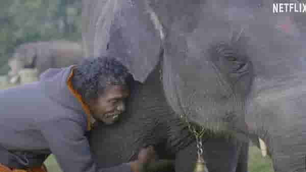 Oscars 2023 | ऑस्कर पुरस्कार सोहळ्यात भारताने रचला इतिहास; पटकावला बेस्ट डॉक्युमेंट्री शॉर्ट फिल्मचा पुरस्कार