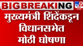 वाघांचा मुक्त संचार वाढलाय, शेतकऱ्यांमध्ये घबराहट, वनविभागाचे अधिकारी म्हणतात…