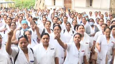 रुग्णालयातील ऑपरेशन्स पुढे ढकलले, रुग्णांचे हाल, शाळा, महाविद्यालये, नगरपालिकेतील कामकाजही ठप्प; संपामुळे दाणादाण