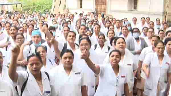 रुग्णालयातील ऑपरेशन्स पुढे ढकलले, रुग्णांचे हाल, शाळा, महाविद्यालये, नगरपालिकेतील कामकाजही ठप्प; संपामुळे दाणादाण