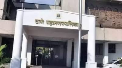 शहरात जनावरांच्या मृतदेहांची विल्हेवाट लावण्यास मर्यादा; या कामासाठी स्वयंसेवी संस्था पुढाकार घेणार?