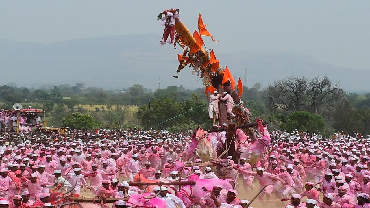 बगाड म्हणजे काय?बावधन गावची यात्रा हि दरवर्षी रंगपंचमीच्या दिवशी येत असते. होळी पौर्णिमेपासून यात्रेला सुरुवात होत असते. होळी पौर्णिमेच्या दिवशी बावधनचा बगाड्या कोण हे ठरवले जाते. बावधनचा बागड्या हा ज्या माणसाचा अगोदर केलेला नवस पूर्ण झाला आहे अशाच माणसावर तो कौल येत असतो. बगाडाच्या पाच दिवस अगोदर होळीचा कार्यक्रम असतो आणि होळीच्या अगोदर भैरवनाथ हळदीचा व लग्न सोहळ्याचा कार्यक्रम केला जातो. हळदीच्या कार्यक्रमा दिवशी देवाला हळद लावली जाते. छत्रपती शिवाजी महाराज यांच्या काळापासून जवळपास पाचशे वर्ष जुनी बगाड ही प्रथा चालत आलेली आहे, याचे पुरावे बावधन भैरवनाथाच्या मंदिरामधील सभामंडपात असलेल्या लाकडी खांबावर दरवर्षीप्रमाणे ठोकलेल्या लोखंडी नाल यावरून पाहायला मिळतात, दर वर्षी एक नाल ठोकला जातो. धुरवीला २ बैल, चावरी, सहा बैली, आठ बैली, १० बैली, बारा बैली, अशा प्रकारे १२ बैल (६ बैलजोड्या) या बगाडाला जुंपलेल्या असतात.