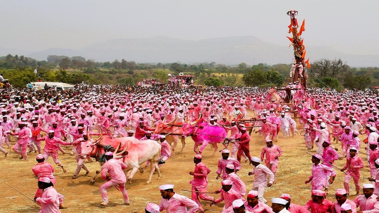  बगाड्याची निवड कशी करतात ? बगाड्याची निवड ही होळी पौर्णिमेला केली जाते. बावधानच्या श्री भैरवनाथ मंदिरामधे कौल लावला जातो आणि होळी पौर्णिमेनिमित्त बगाड कुणावर आलाय याचा कौल नाथांचे वंशपरंपरागत प्रमुख पुजारी व पंच मंडळी घेत असतात. नवसाचा कौल लावायला जवळपास १०० पेक्षाही अधिक नवस केलेली मंडळी हजर असतात. पण यातून फक्त एका व्यक्तीची देवाला कौल लावून  बगाड्यासाठी निवड केली जाते. 