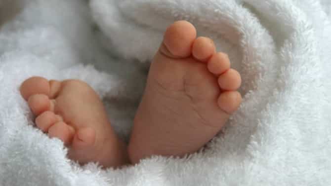 तोंडातून फेस, डोके आणि मनगट उंदरांनी कुरतडलेले; प्लॅस्टिकच्या पिशवीत 2 वर्षाच्या मुलाचा...