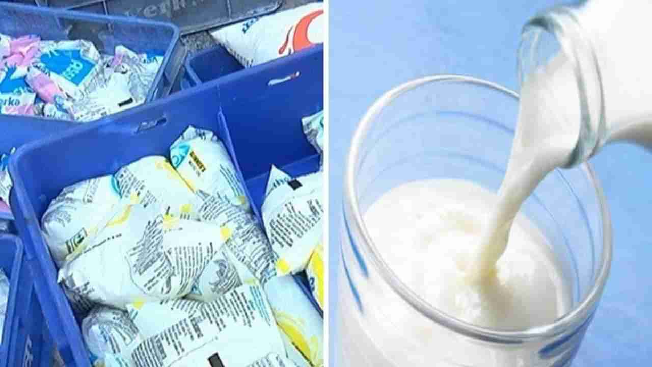 Milk Price Hike : दुधाने आणला तोंडाला फेस! दरमजल करत किंमती भिडल्या गगनाला
