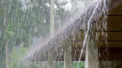 Video : पुढील पाच दिवस ‘या’ भागात विजांच्या कडकडाटासह पावसाची शक्यता