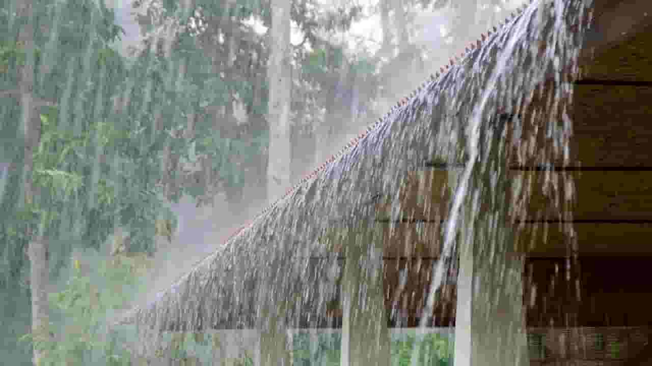 Video : पुढील पाच दिवस 'या' भागात विजांच्या कडकडाटासह पावसाची शक्यता Video : पुढील पाच दिवस 'या' भागात विजांच्या कडकडाटासह पावसाची शक्यता