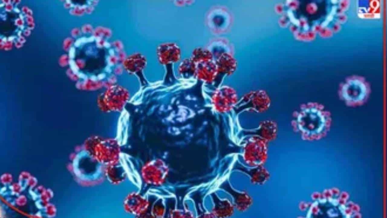 भय इथले संपत नाही, कोरोनाचा पुन्हा उद्रेक, महाराष्ट्रातील या जिल्ह्यात मास्कसक्ती