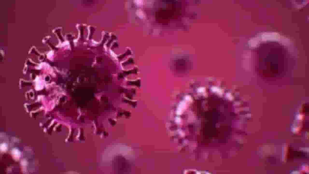 राज्यात  H3N2 इन्फ्लुएन्झाचा पहिला बळी; आरोग्यमंत्री तानाजी सावंत यांचं महत्वाचं आवाहन