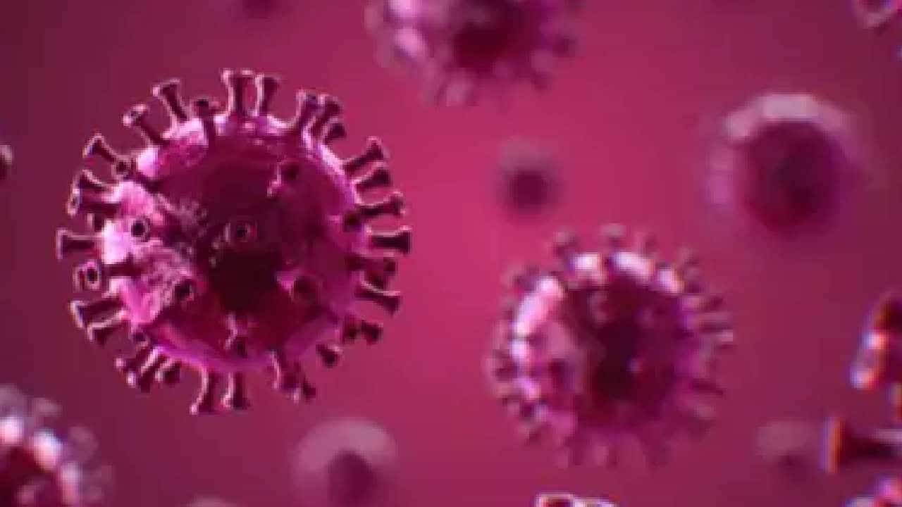 राज्यात H3N2 इन्फ्लुएन्झाचा पहिला बळी; आरोग्यमंत्री तानाजी सावंत यांचं महत्वाचं आवाहन राज्यात H3N2 इन्फ्लुएन्झाचा पहिला बळी; आरोग्यमंत्री तानाजी सावंत यांचं महत्वाचं आवाहन