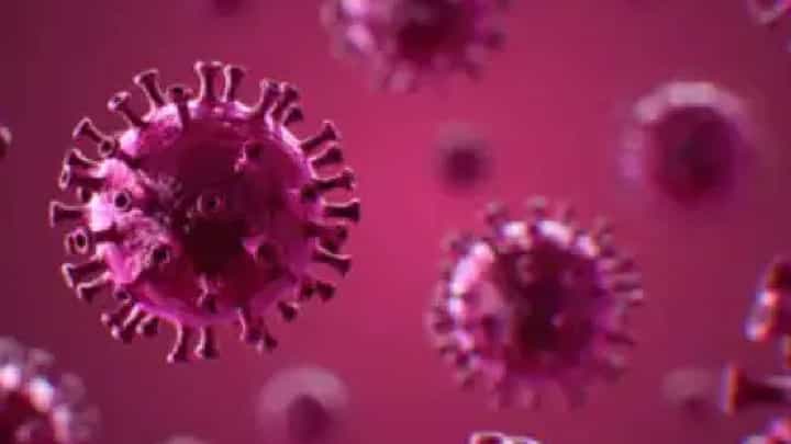 राज्यात H3N2 इन्फ्लुएन्झाचा पहिला बळी; आरोग्यमंत्री तानाजी सावंत यांचं महत्वाचं आवाहन राज्यात H3N2 इन्फ्लुएन्झाचा पहिला बळी; आरोग्यमंत्री तानाजी सावंत यांचं महत्वाचं आवाहन