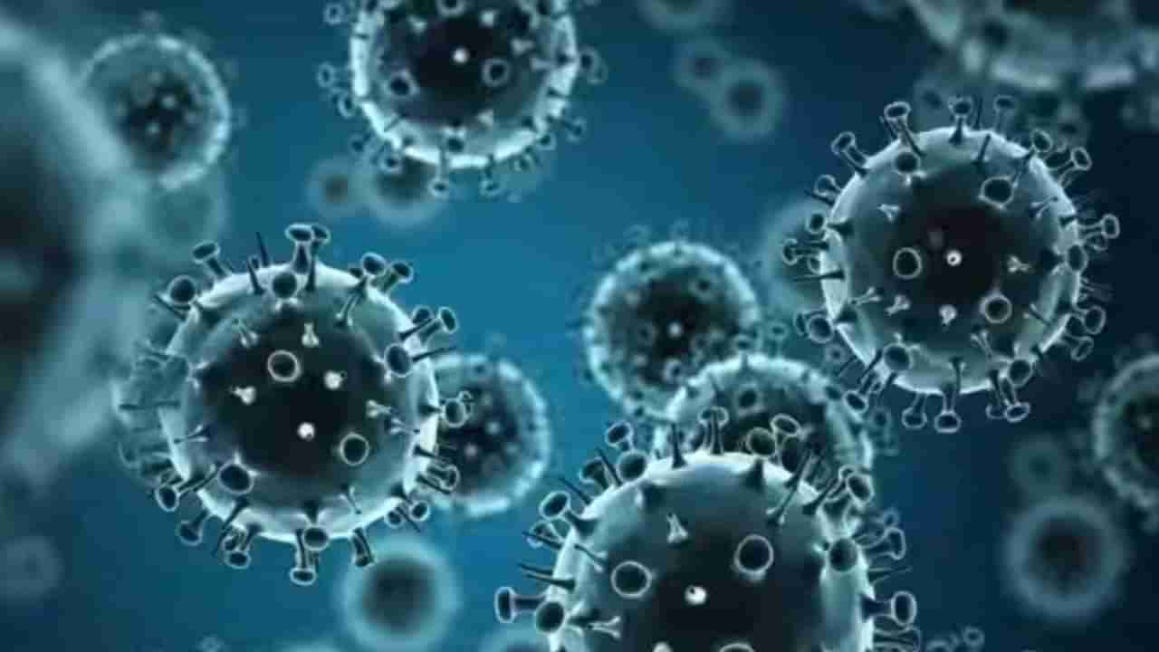 H3N2 Virus : महाराष्ट्रात वाढली H3N2 ची भीती, आत्तापर्यंत समोर आले 352 रुग्ण, सरकार अलर्ट मोडवर