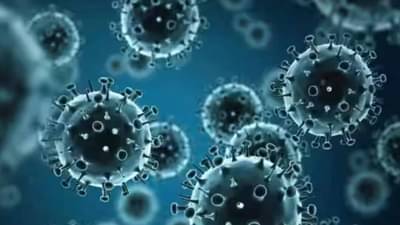 H3N2 Virus : महाराष्ट्रात वाढली H3N2 ची भीती, आत्तापर्यंत समोर आले 352 रुग्ण, सरकार अलर्ट मोडवर