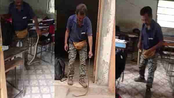 वर्गात घुसला साप, सापाला पाहून शिक्षक विद्यार्थ्यांची उडाली तारांबळ