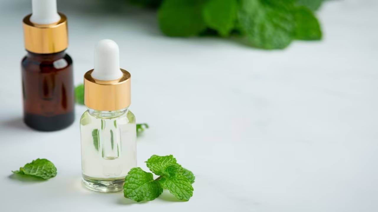 उन्हाळ्यात त्वचा ठेवायची असेल कूल आणि फ्रेश तर पुदिन्याचा असा करा वापर
