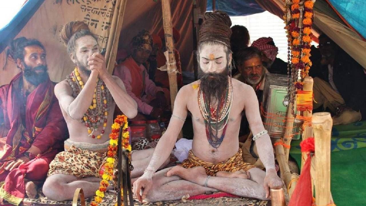 Naga Sadhu (1)