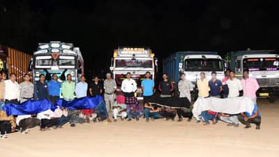 रेती तस्करांवर मोठी कारवाई, कोट्यवधी रुपयांचा मुद्देमाल जप्त; इतक्या जणांना अटक