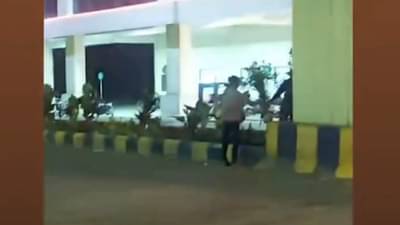 ते कारमधून आले, दुभाजकांवर लावलेली झाडं उचलली आणि...; व्हिडीओ व्हायरल