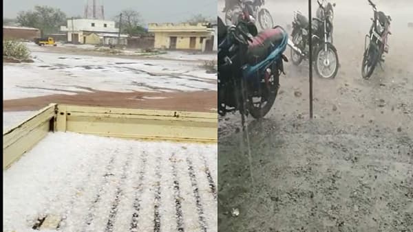Unseasonal Rain : गोंदिया जिल्ह्यात अवकाळी पावसाचे थैमान, रब्बी पिकांना बसणार फटका, विटभट्टी व्यावसायिकांचे मोठे नुकसान