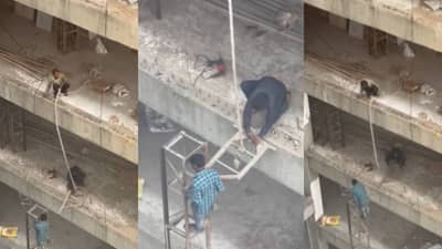 व्हिडिओ पाहून लोकांचं मन हेलावलं, जीव मुठीत घेऊन काम करत होते मजूर!